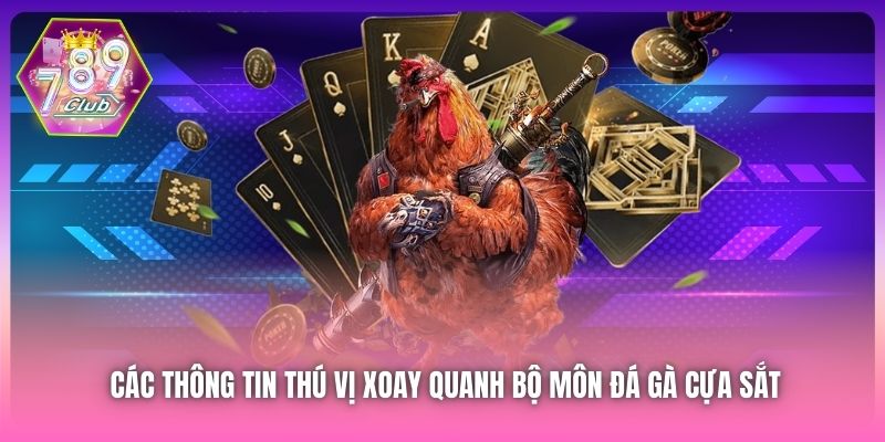 Các thông tin thú vị xoay quanh bộ môn đá gà cựa sắt