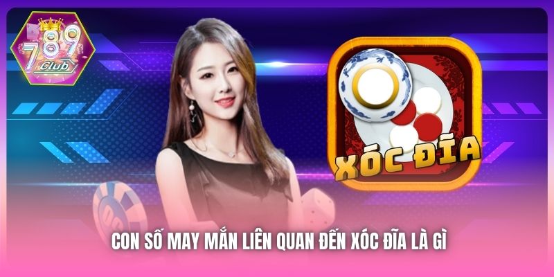 Con số may mắn liên quan đến Xóc Đĩa là gì