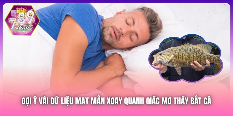 Gợi ý vài dữ liệu may mắn xoay quanh giấc mơ thấy bắt cá 