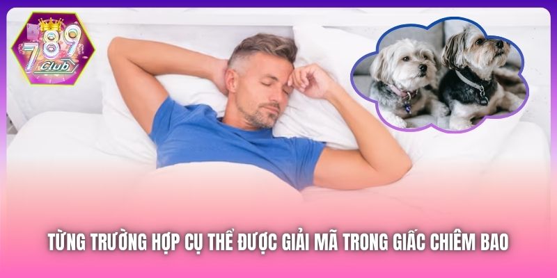 Từng trường hợp cụ thể được giải mã trong giấc chiêm bao 